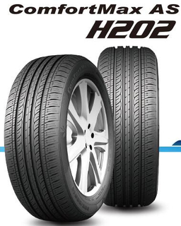 H202